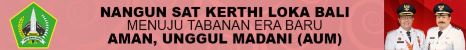 bupati-vs-wakil-bupati-1
